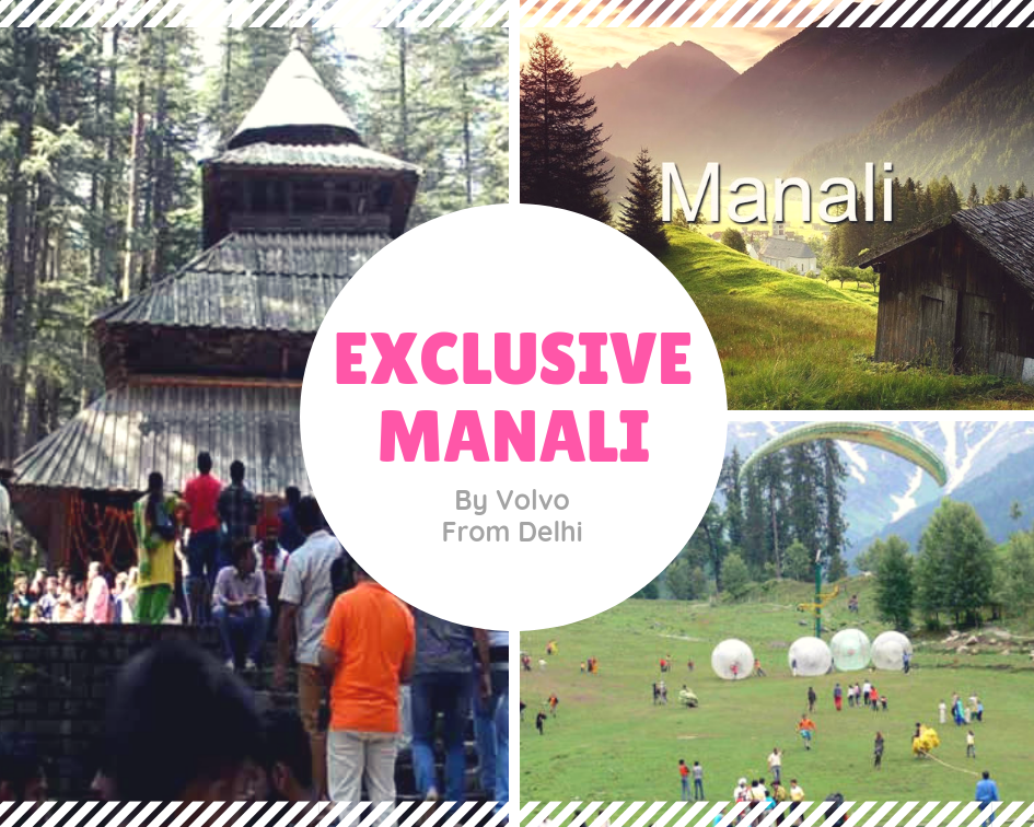 Exclusive Manali By Volvo