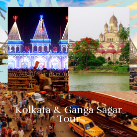 Kolkata & Ganga Sagar Tour